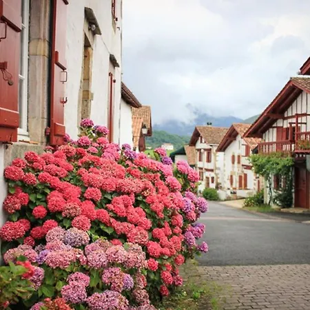 Feriehus Maison Basque Confortable, Vue Montagne - Fr-1-4-704 *