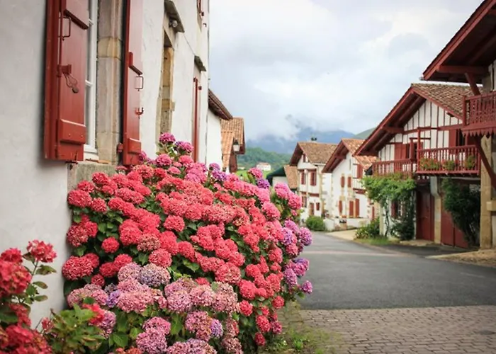 度假居 Maison Basque Confortable, Vue Montagne - Fr-1-4-704 *